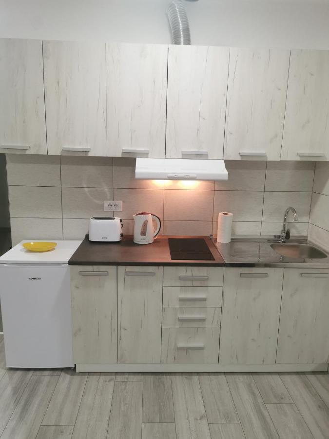 Studio Apartmani Banja Koviljača エクステリア 写真