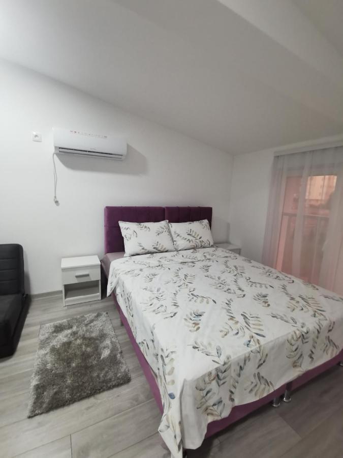 Studio Apartmani Banja Koviljača エクステリア 写真