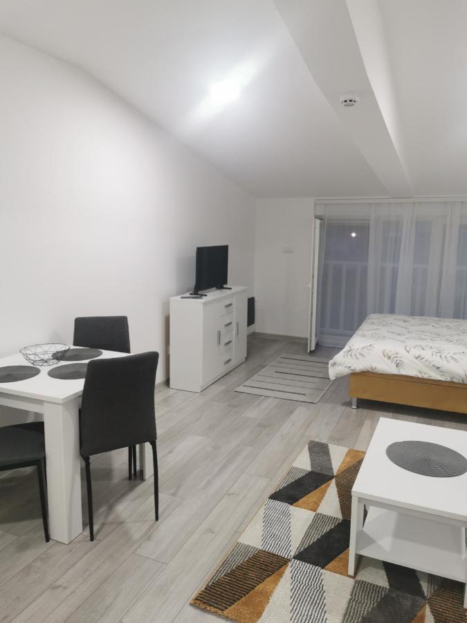 Studio Apartmani Banja Koviljača エクステリア 写真