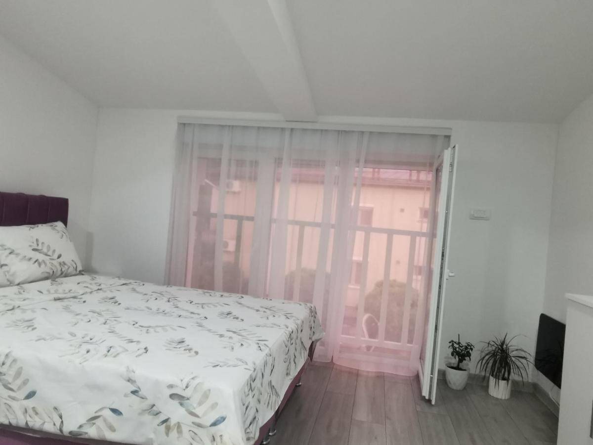 Studio Apartmani Banja Koviljača エクステリア 写真