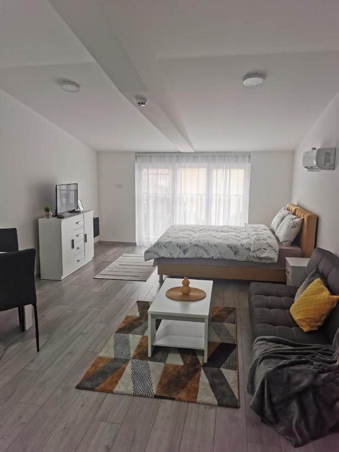 Studio Apartmani Banja Koviljača エクステリア 写真