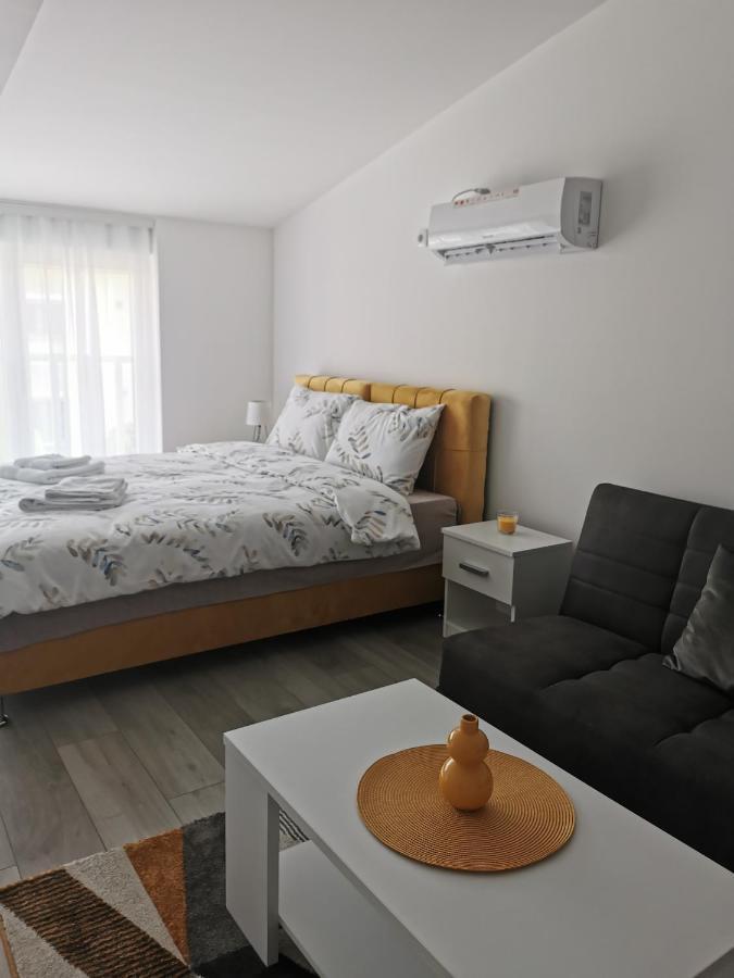 Studio Apartmani Banja Koviljača エクステリア 写真