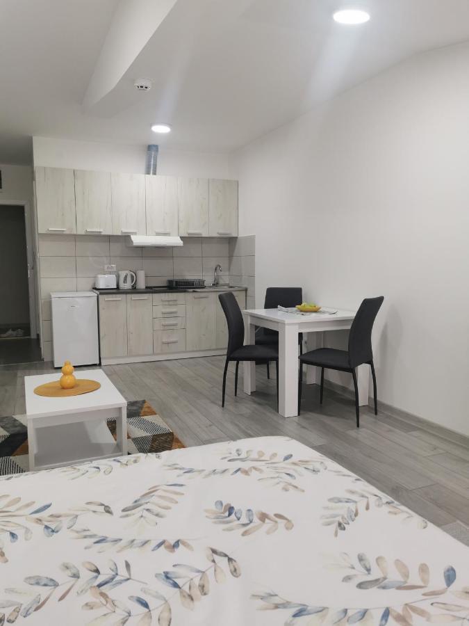 Studio Apartmani Banja Koviljača エクステリア 写真