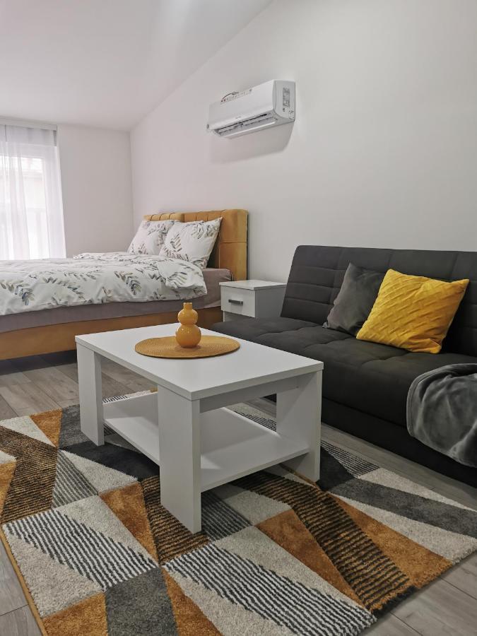 Studio Apartmani Banja Koviljača エクステリア 写真
