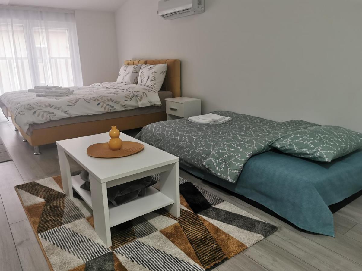 Studio Apartmani Banja Koviljača エクステリア 写真