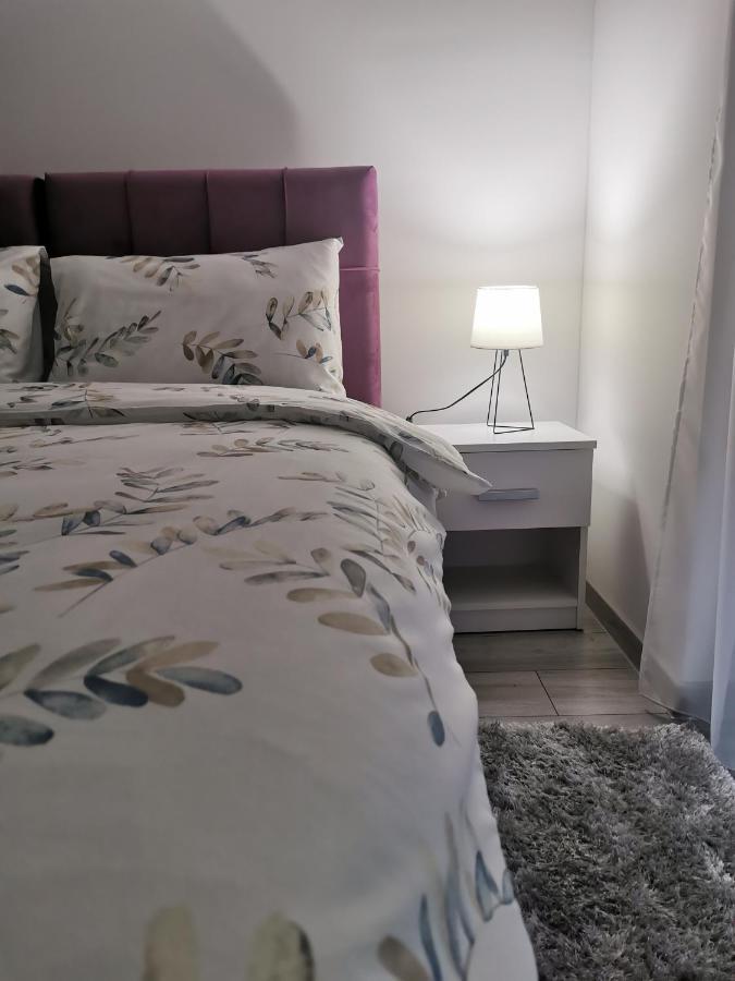 Studio Apartmani Banja Koviljača エクステリア 写真