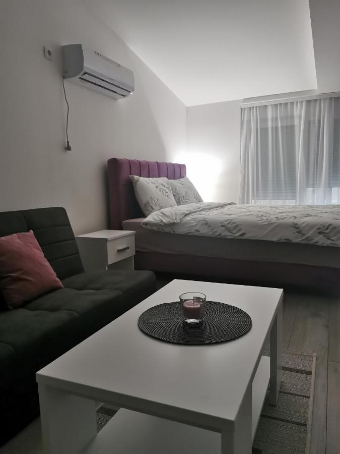 Studio Apartmani Banja Koviljača エクステリア 写真