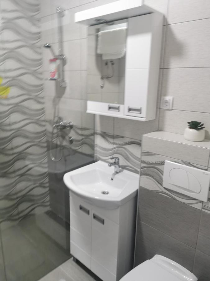 Studio Apartmani Banja Koviljača エクステリア 写真