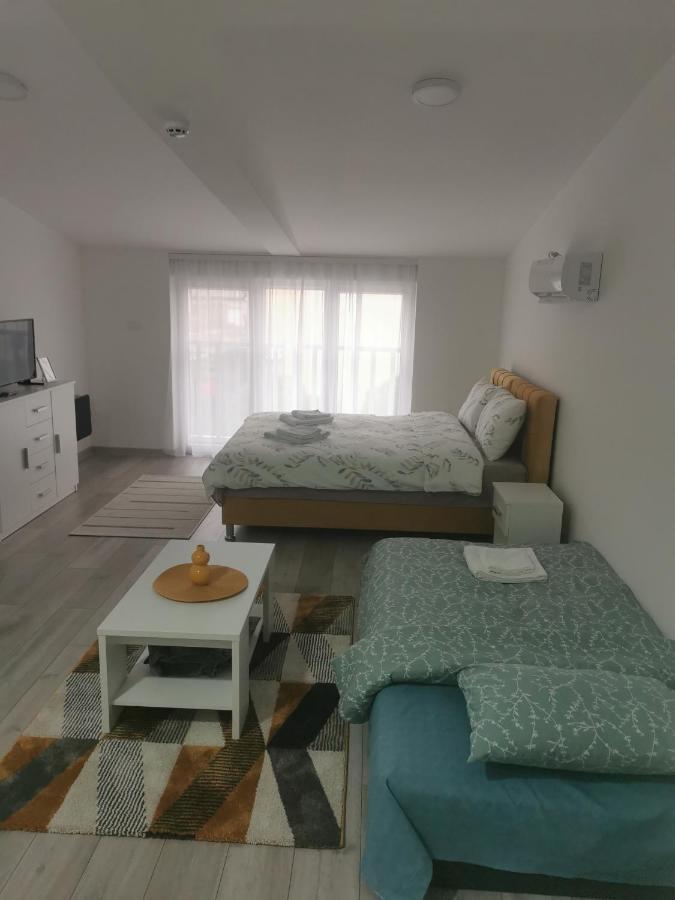 Studio Apartmani Banja Koviljača エクステリア 写真