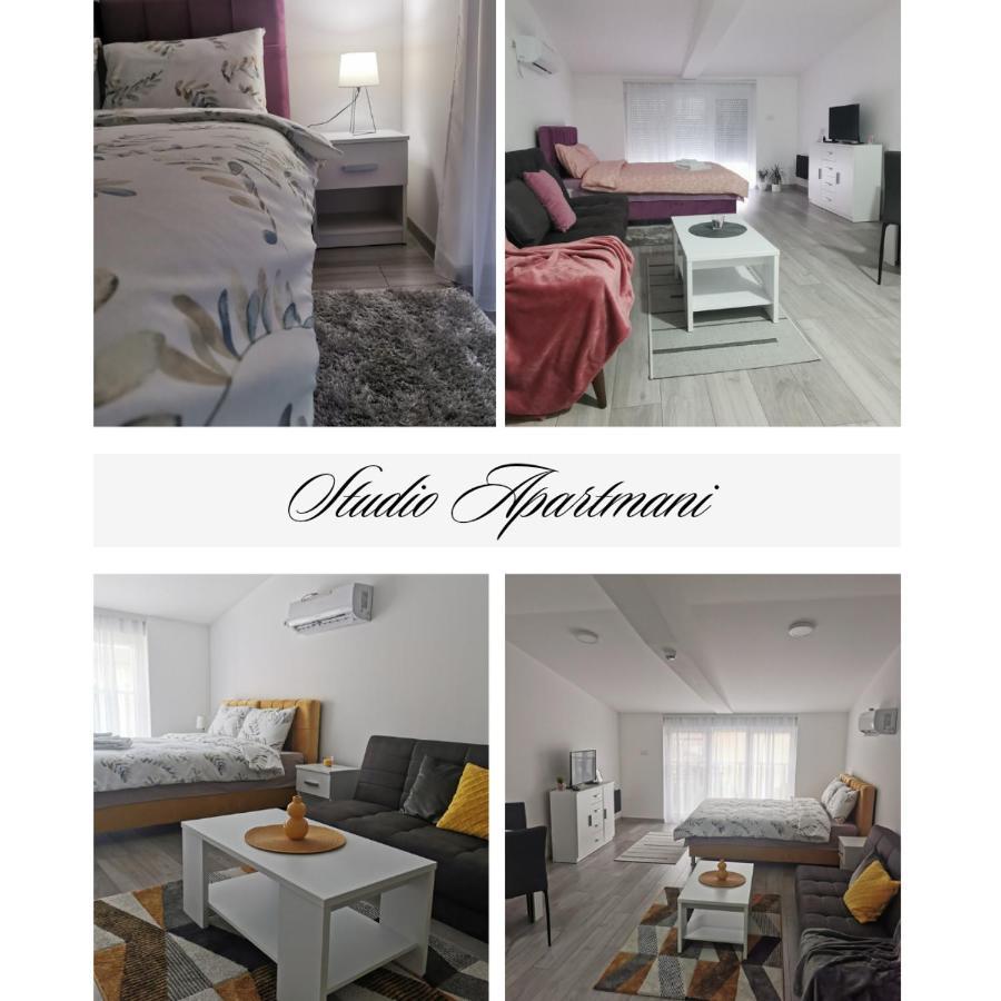 Studio Apartmani Banja Koviljača エクステリア 写真