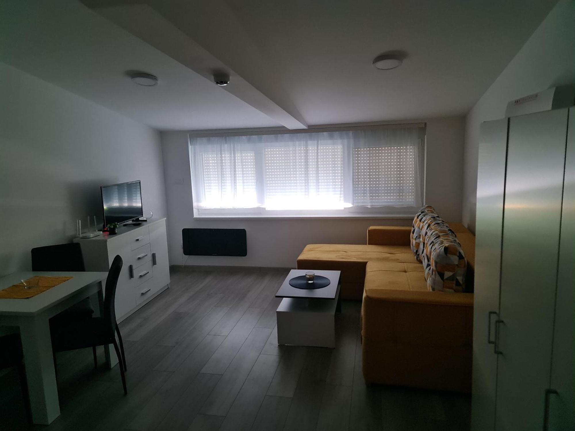 Studio Apartmani Banja Koviljača エクステリア 写真