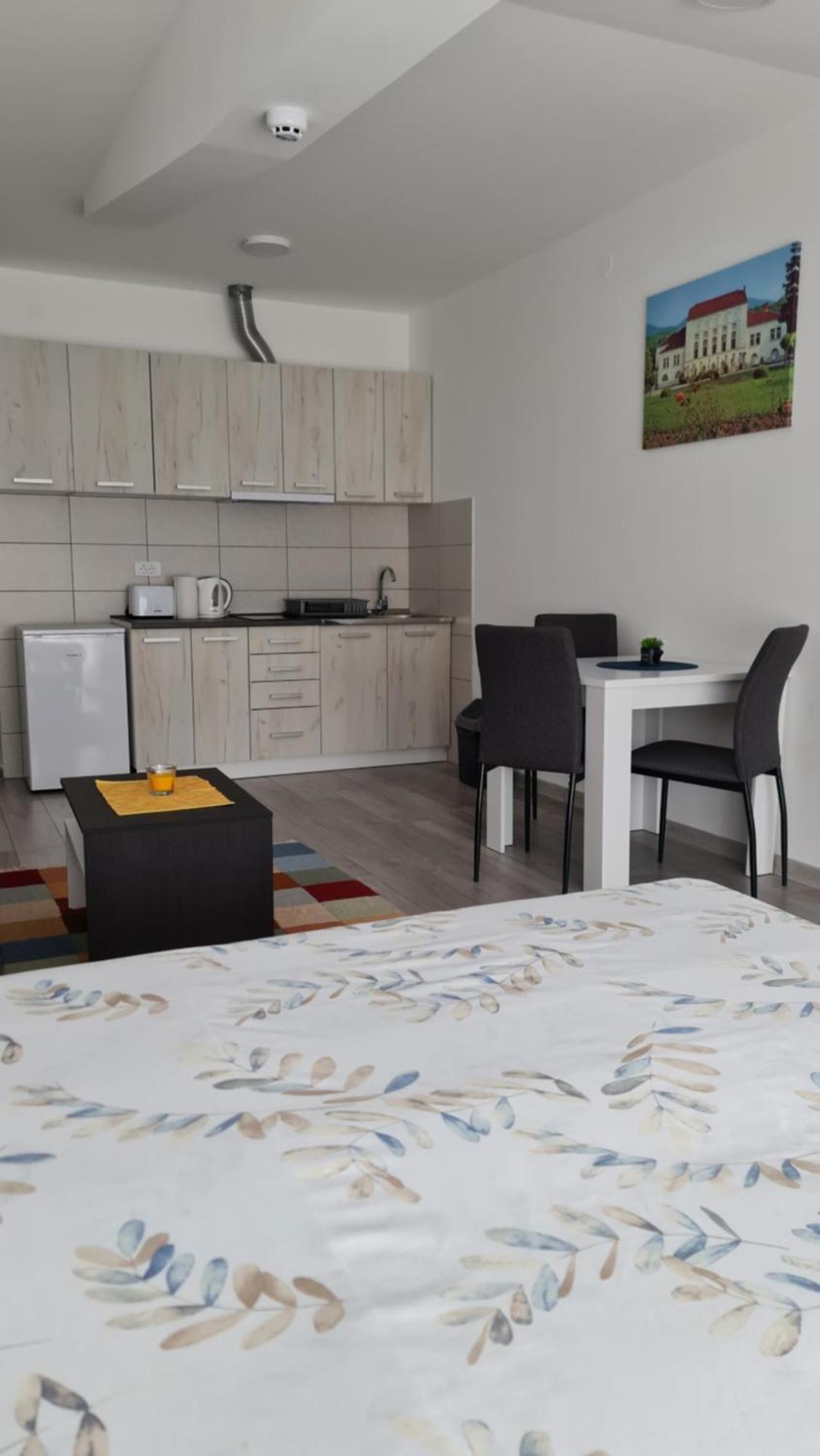 Studio Apartmani Banja Koviljača エクステリア 写真