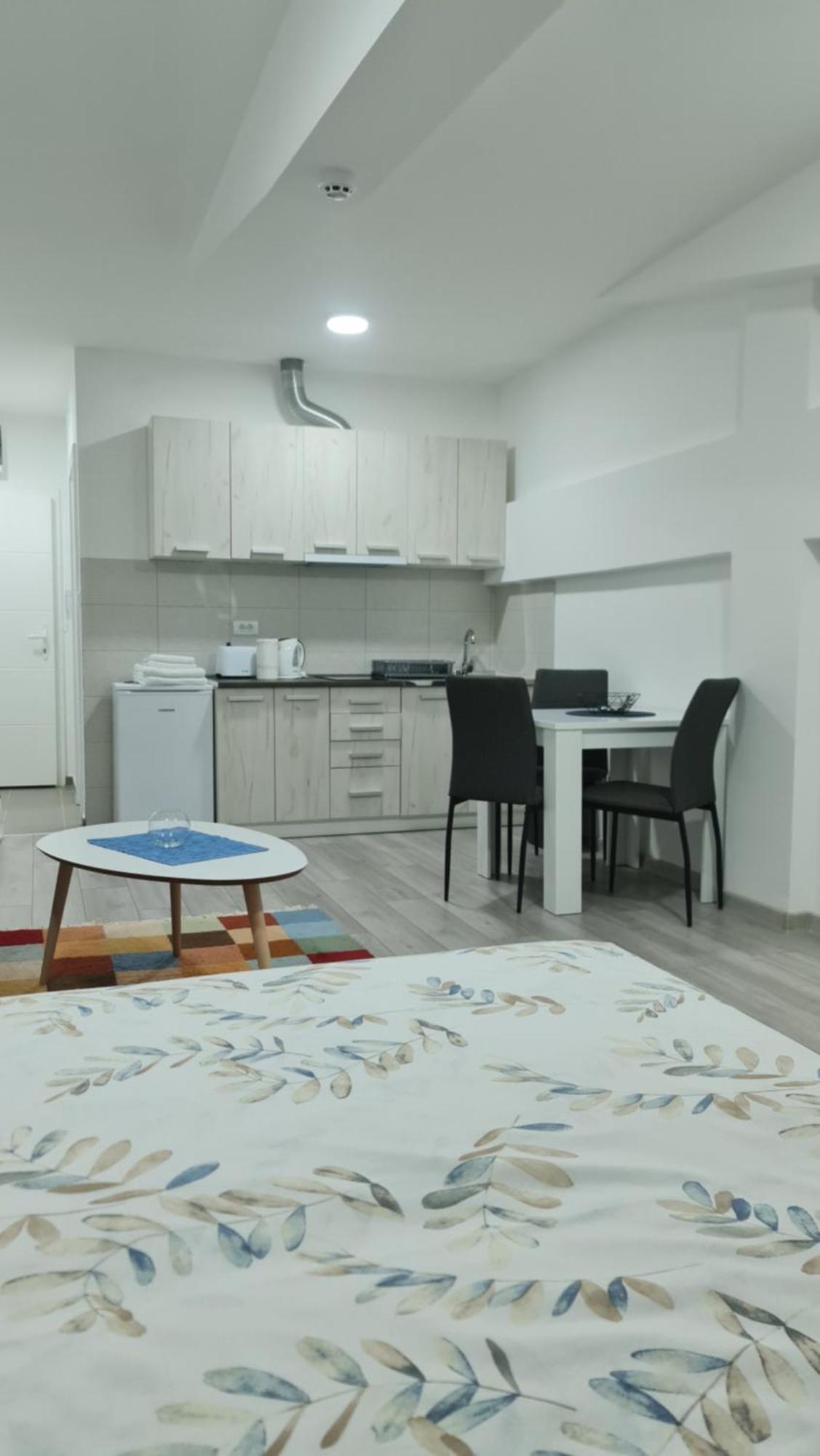 Studio Apartmani Banja Koviljača 部屋 写真