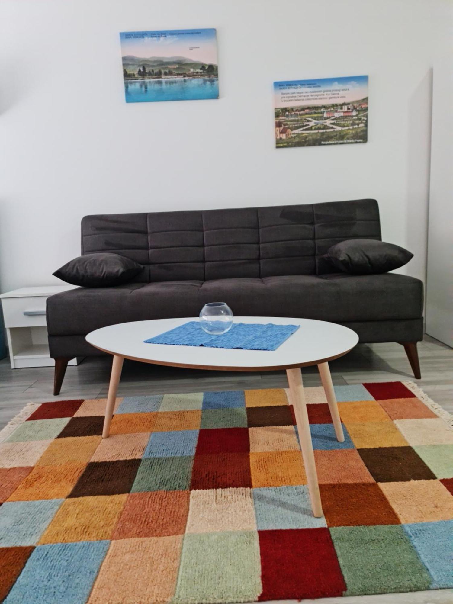 Studio Apartmani Banja Koviljača 部屋 写真